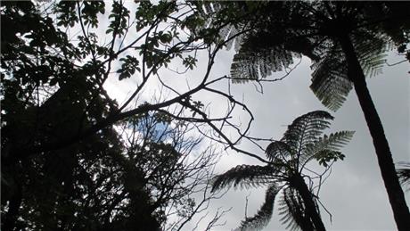 Banner Picture
